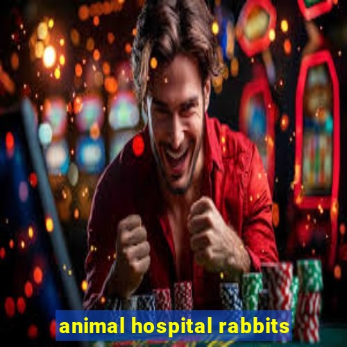 animal hospital rabbits